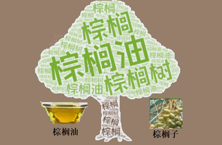 4500林吉特关口崩塌！棕榈油三连阴背后，多头防线正面临“赛点”考验(1)